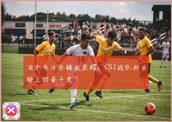 泪水与汗水铸就荣耀，CS2战队积分榜上的奋斗史